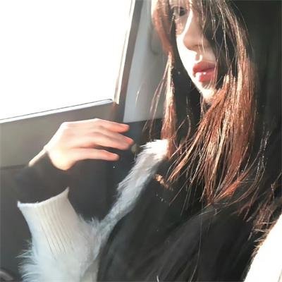 淑女宠爱